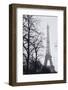 France, Paris. Eiffel Tower at Winter-Walter Bibikow-Framed Photographic Print