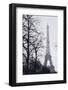 France, Paris. Eiffel Tower at Winter-Walter Bibikow-Framed Photographic Print