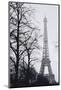 France, Paris. Eiffel Tower at Winter-Walter Bibikow-Mounted Photographic Print