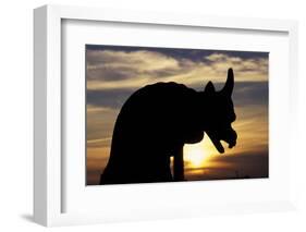 France, Paris. Notre Dame Cathedral, gargoyle-David Barnes-Framed Photographic Print