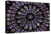 France, Paris, Notre Dame, Rose Window-null-Stretched Canvas