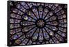 France, Paris, Notre Dame, Rose Window-null-Framed Stretched Canvas