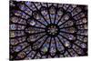 France, Paris, Notre Dame, Rose Window-null-Stretched Canvas