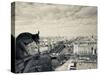 France, Paris, View from the Cathedrale Notre Dame Cathedral with Gargoyles-Walter Bibikow-Stretched Canvas