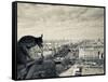 France, Paris, View from the Cathedrale Notre Dame Cathedral with Gargoyles-Walter Bibikow-Framed Stretched Canvas