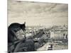 France, Paris, View from the Cathedrale Notre Dame Cathedral with Gargoyles-Walter Bibikow-Mounted Photographic Print