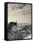 France, Paris, View from the Cathedrale Notre Dame Cathedral with Gargoyles-Walter Bibikow-Framed Stretched Canvas