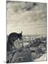 France, Paris, View from the Cathedrale Notre Dame Cathedral with Gargoyles-Walter Bibikow-Mounted Photographic Print