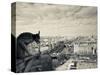 France, Paris, View from the Cathedrale Notre Dame Cathedral with Gargoyles-Walter Bibikow-Stretched Canvas