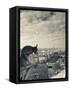 France, Paris, View from the Cathedrale Notre Dame Cathedral with Gargoyles-Walter Bibikow-Framed Stretched Canvas