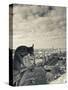 France, Paris, View from the Cathedrale Notre Dame Cathedral with Gargoyles-Walter Bibikow-Stretched Canvas