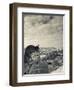 France, Paris, View from the Cathedrale Notre Dame Cathedral with Gargoyles-Walter Bibikow-Framed Photographic Print