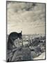 France, Paris, View from the Cathedrale Notre Dame Cathedral with Gargoyles-Walter Bibikow-Mounted Photographic Print