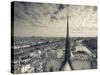 France, Paris, View of the Seine River and City from the Notre Dame Cathedral-Walter Bibikow-Stretched Canvas