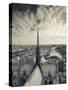 France, Paris, View of the Seine River and City from the Notre Dame Cathedral-Walter Bibikow-Stretched Canvas