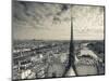 France, Paris, View of the Seine River and City from the Notre Dame Cathedral-Walter Bibikow-Mounted Photographic Print