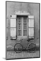 France, Poitou Charentes Bike Marans-Walter Bibikow-Mounted Photographic Print