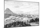 Wood Mount