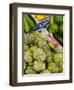 France, Provence-Alpes-Cote D'Azur, Cannes, Old Town Le Suquet, Market, Artichokes-Alan Copson-Framed Photographic Print