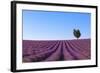 France, Provence-Alpes-Cote D'Azur, Plateau of Valensole, Lavender Field-Andrea Pavan-Framed Photographic Print