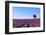 France, Provence-Alpes-Cote D'Azur, Plateau of Valensole, Lavender Field-Andrea Pavan-Framed Photographic Print