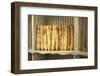 France, Provence Alpes Cote Dazur, Roussillon. Fresh Baguettes-Kevin Oke-Framed Photographic Print