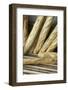 France, Provence Alpes Cote Dazur, Vaucluse, Lourmarin. Baguettes-Kevin Oke-Framed Photographic Print