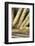 France, Provence Alpes Cote Dazur, Vaucluse, Lourmarin. Baguettes-Kevin Oke-Framed Photographic Print