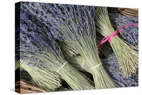 France, Provence Alpes Cote Dazur, Vaucluse, Roussillon. Lavender-Kevin Oke-Stretched Canvas