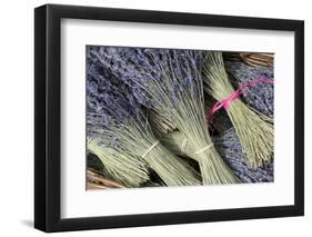 France, Provence Alpes Cote Dazur, Vaucluse, Roussillon. Lavender-Kevin Oke-Framed Photographic Print