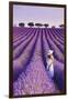 France, Provence Alps Cote d'Azur, Haute Provence, Plateau of Valensole, Lavander Fields-Michele Falzone-Framed Photographic Print