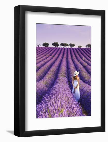 France, Provence Alps Cote d'Azur, Haute Provence, Plateau of Valensole, Lavander Fields-Michele Falzone-Framed Photographic Print