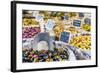 France, Provence Alps Cote D'Azur, Haute Provence-Matteo Colombo-Framed Photographic Print