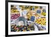 France, Provence Alps Cote D'Azur, Haute Provence-Matteo Colombo-Framed Photographic Print