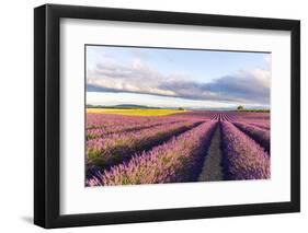 France, Provence Alps Cote D'Azur, Haute Provence-Matteo Colombo-Framed Photographic Print