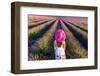 France, Provence Alps Cote D'Azur, Haute Provence-Matteo Colombo-Framed Photographic Print