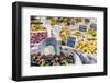 France, Provence Alps Cote D'Azur, Haute Provence-Matteo Colombo-Framed Photographic Print