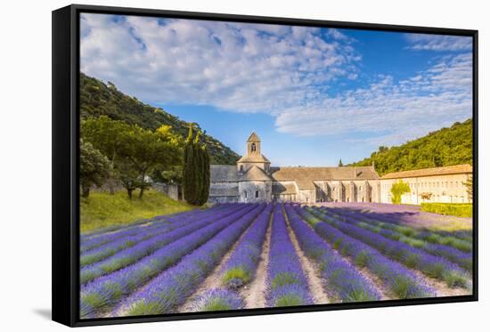 France, Provence Alps Cote D'Azur, Vaucluse. Famous Senanque Abbey in the Morning-Matteo Colombo-Framed Stretched Canvas