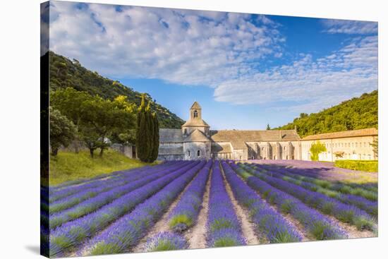 France, Provence Alps Cote D'Azur, Vaucluse. Famous Senanque Abbey in the Morning-Matteo Colombo-Stretched Canvas