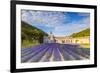 France, Provence Alps Cote D'Azur, Vaucluse. Famous Senanque Abbey in the Morning-Matteo Colombo-Framed Photographic Print