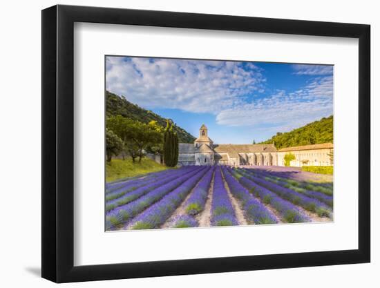 France, Provence Alps Cote D'Azur, Vaucluse. Famous Senanque Abbey in the Morning-Matteo Colombo-Framed Photographic Print