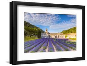 France, Provence Alps Cote D'Azur, Vaucluse. Famous Senanque Abbey in the Morning-Matteo Colombo-Framed Photographic Print