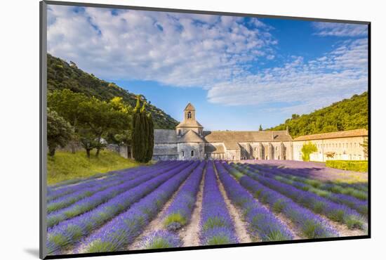 France, Provence Alps Cote D'Azur, Vaucluse. Famous Senanque Abbey in the Morning-Matteo Colombo-Mounted Photographic Print