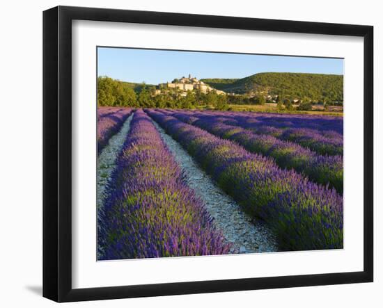 France, Provence, Banon, Lavender to Foreground-Shaun Egan-Framed Photographic Print