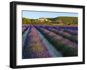 France, Provence, Banon, Lavender to Foreground-Shaun Egan-Framed Photographic Print