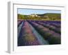 France, Provence, Banon, Lavender to Foreground-Shaun Egan-Framed Photographic Print