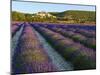 France, Provence, Banon, Lavender to Foreground-Shaun Egan-Mounted Photographic Print