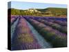 France, Provence, Banon, Lavender to Foreground-Shaun Egan-Stretched Canvas