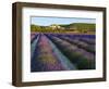 France, Provence, Banon, Lavender to Foreground-Shaun Egan-Framed Photographic Print