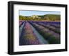 France, Provence, Banon, Lavender to Foreground-Shaun Egan-Framed Photographic Print